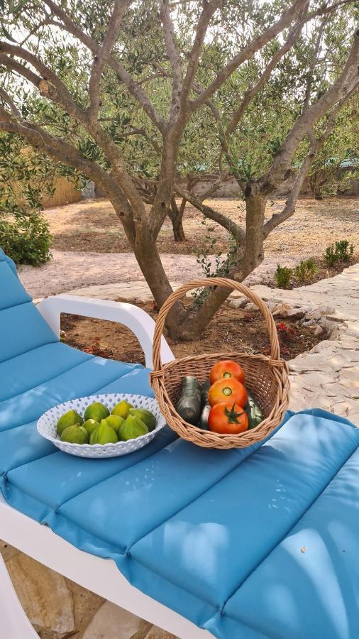 Villa Bubica- Cozy Holiday Home In Rural Area With Pool Stankovci  Екстер'єр фото